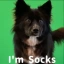 Socks