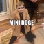 MINIDOGE