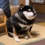 TOTAKEKE