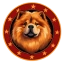 CHOW