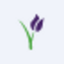 Coin Icon