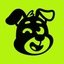 Coin Icon