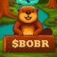BOBR