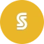 Coin Icon