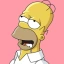 HOMER