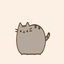 PUSHEEN