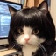 WIGCAT