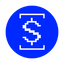 Coin Icon