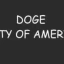 DOGE PARTY