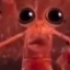 Krill