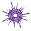 Coin Icon