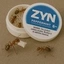 Zants