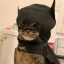 BATCAT