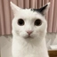 TAKERU