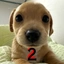 billy2