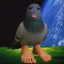 pigeon