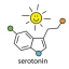 serotonin