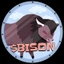 BISON