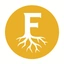 Coin Icon
