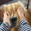 SQUISH
