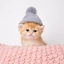 Kitten Wif Hat