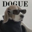 DOGUE