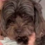 LOLA