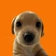 BILLY