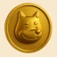 Coin Icon