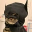 BATCAT