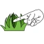 GRASS