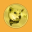 Coin Icon