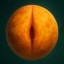 VENUSSY