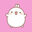 molang