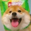 CHIPS