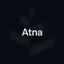 Coin Icon