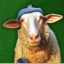 Coin Icon