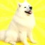 SUNNY