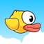 FLAPPY