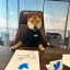 DOGECEO