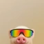 POG