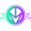 Coin Icon