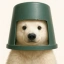 Coin Icon