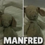 MANFRED