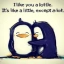 LOTTLE