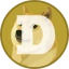 Coin Icon