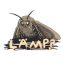 Moth