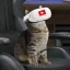 YouCat