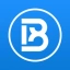Coin Icon