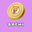 Coin Icon